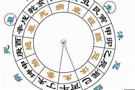 官殺星|官殺在時、日、月、年柱詳解